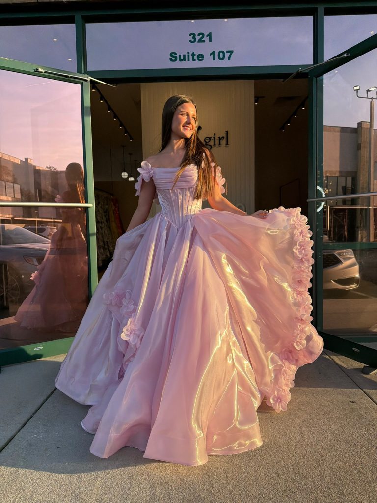 Blush Iridescent Ballgown + 3D Floral Appliqués + Corset Bodice